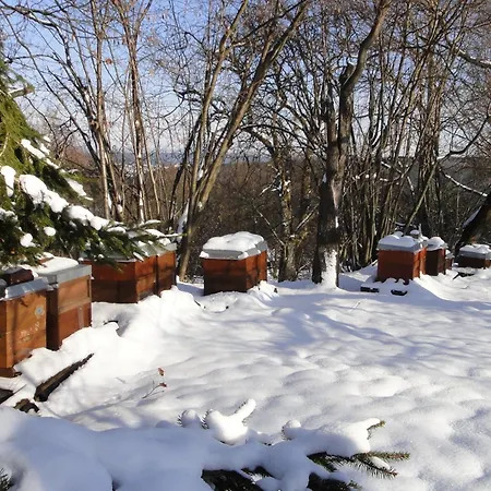 Bienenherz * Engelsbrand