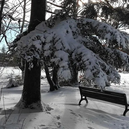 Bienenherz Апартаменты *