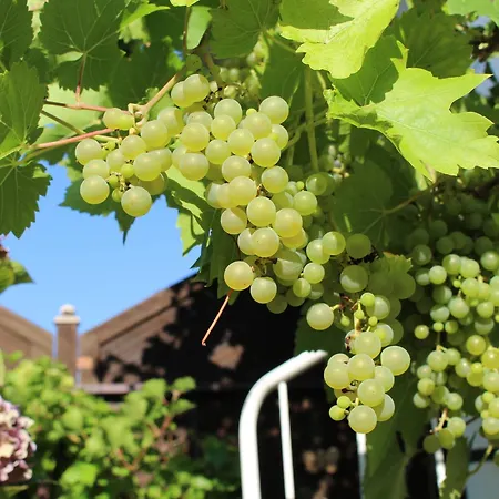 Апартаменты Bienenherz *