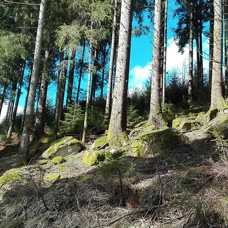 Bienenherz Engelsbrand