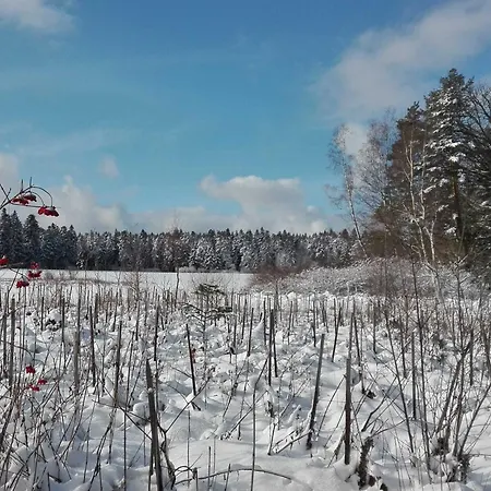 Bienenherz * Engelsbrand